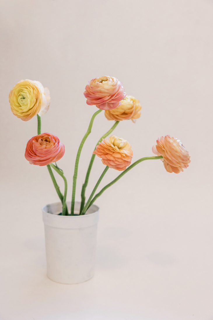 Yellow-Peach Roses on White Pot